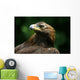 Golden Eagle's Face Wall Mural