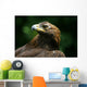 Golden Eagle's Face Wall Mural