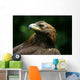 Golden Eagle's Face Wall Mural