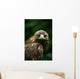 Golden Eagle's Face Wall Mural