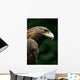 Golden Eagle's Face Wall Mural