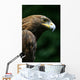 Golden Eagle's Face Wall Mural