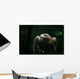 Golden Eagle Wall Mural