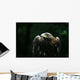 Golden Eagle Wall Mural
