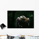 Golden Eagle Wall Mural