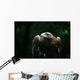 Golden Eagle Wall Mural