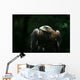 Golden Eagle Wall Mural