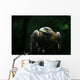 Golden Eagle Wall Mural