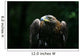 Golden Eagle Wall Mural