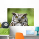 Great Horned Owl Wall Mural