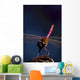 Close Up Of A Dragonfly Wall Mural