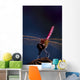 Close Up Of A Dragonfly Wall Mural