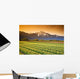 Tulip Cultivation, British Columbia, Canada Wall Mural