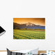 Tulip Cultivation, British Columbia, Canada Wall Mural