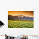 Tulip Cultivation, British Columbia, Canada Wall Mural