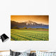 Tulip Cultivation, British Columbia, Canada Wall Mural