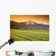 Tulip Cultivation, British Columbia, Canada Wall Mural