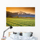 Tulip Cultivation, British Columbia, Canada Wall Mural