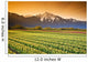 Tulip Cultivation, British Columbia, Canada Wall Mural
