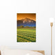 Tulip Cultivation, British Columbia, Canada Wall Mural