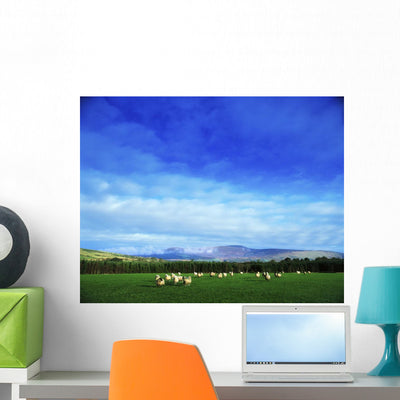 Sheep Grazing Field Wall Mural shown on a wall