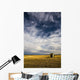 Shack In Field Wall Mural