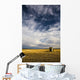 Shack In Field Wall Mural