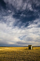 Shack In Field Wall Mural