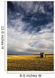 Shack In Field Wall Mural