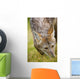 Coyote In Grass Wall Mural
