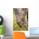 Coyote In Grass Wall Mural