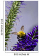 Bee On Purple Flowers Wall Mural