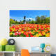 Boston Public Garden Tulips Wall Decal
