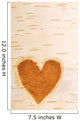 Heart Shape Carved In Bark Of Tree Wall Mural