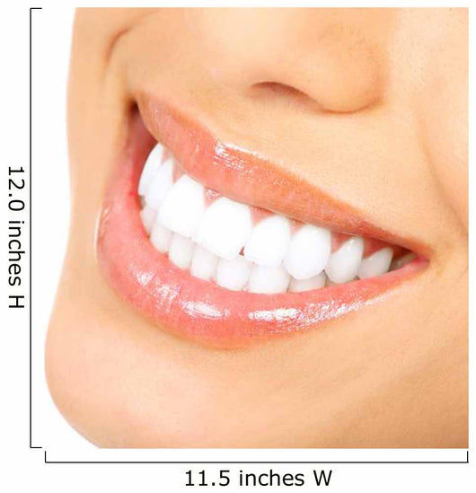 Woman Teeth