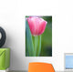 Pink Tulip Wall Mural