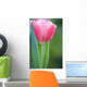 Pink Tulip Wall Mural