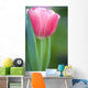 Pink Tulip Wall Mural