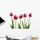 Row Of Pink Tulips On White Background Wall Decal