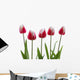 Row Of Pink Tulips On White Background Wall Decal