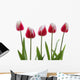 Row Of Pink Tulips On White Background Wall Decal