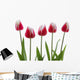 Row Of Pink Tulips On White Background Wall Decal
