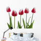 Row Of Pink Tulips On White Background Wall Decal