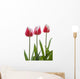 Row Of Pink Tulips On White Background Wall Decal