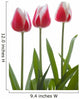 Row Of Pink Tulips On White Background Wall Decal