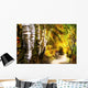 Birch Trees And Path Wall Mural