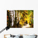 Birch Trees And Path Wall Mural