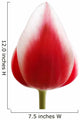 Red Tulip Wall Mural