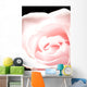 Pink Rose, Close-Up Wall Mural