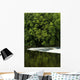 River Boyne, County Meath, Ireland Wall Mural